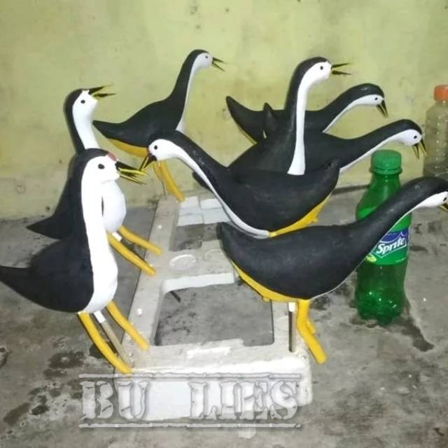 Decoy Replika burung Kareo sawah. Ruak ruak