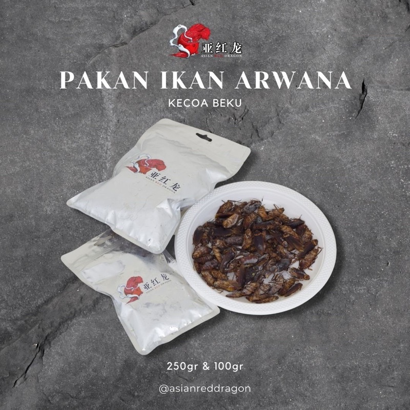 PAKAN IKAN ARWANA - KECOA BEKU 100gr & 250gr