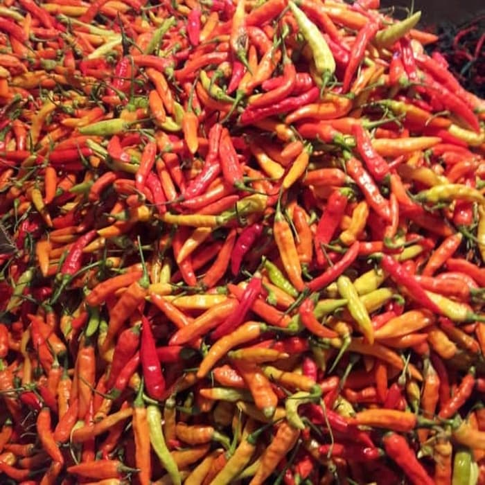 

Terbatas - Cabe Rawit Merah 1Kg