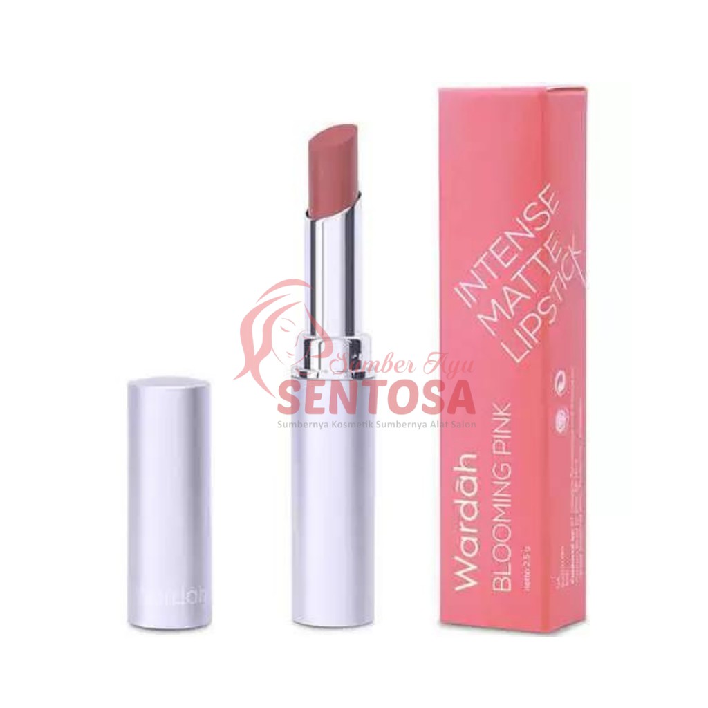 WARDAH INTENSE MATTE LIPSTICK 2,3GR