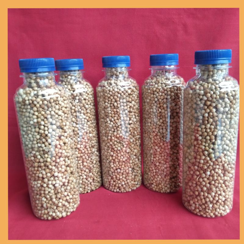 

KETUMBAR MURNI / ORIGINAL 100 GRAM