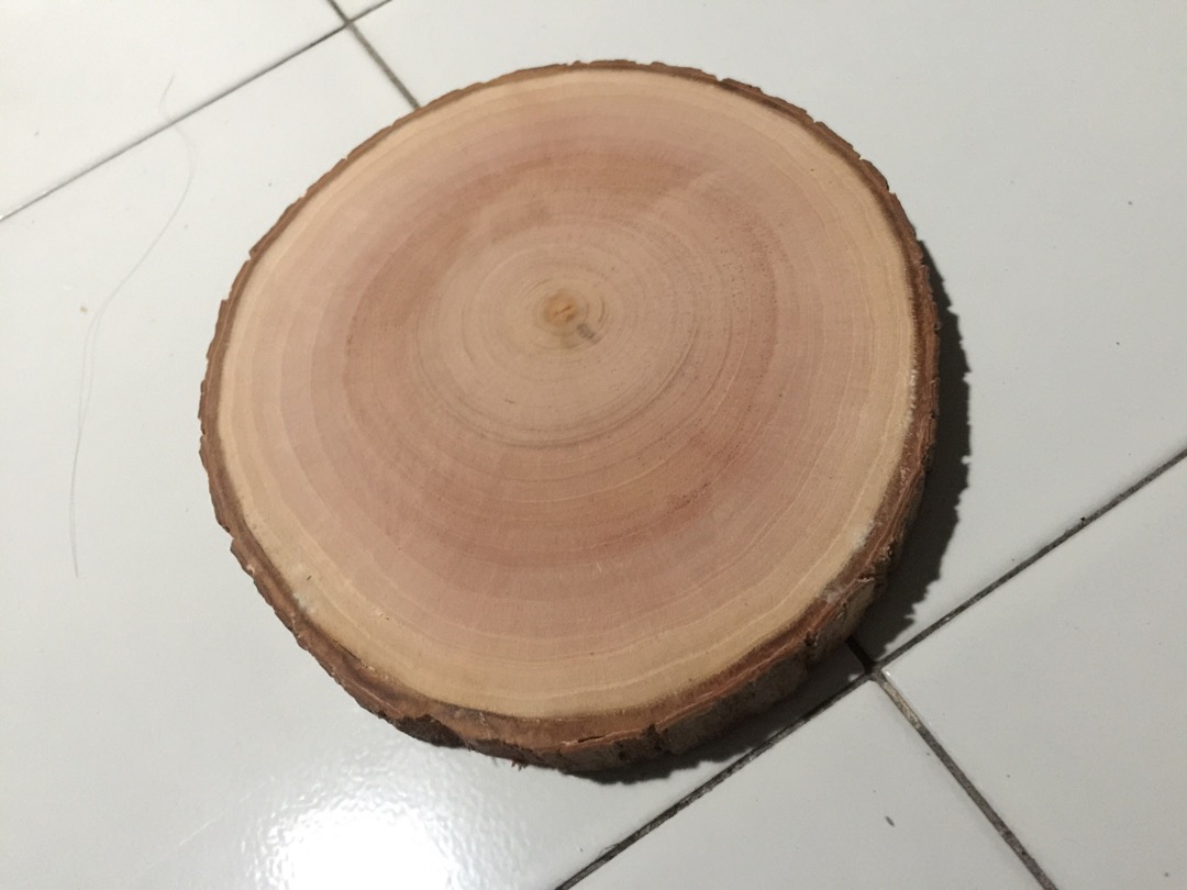 Wood Slice Tree Slice 19-20 Cm Dekorasi Pernikahan Rustic Talenan Tray