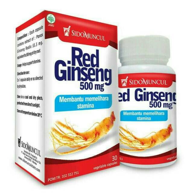 

RED GINSENG SIDOMUNCUL