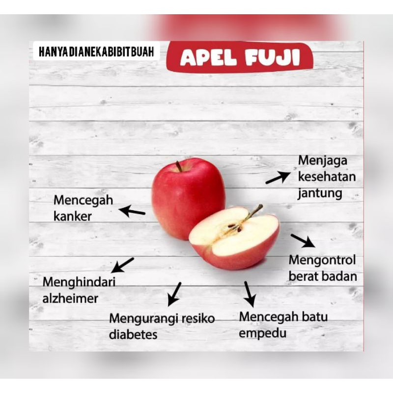 BIBIT APEL FUJI
