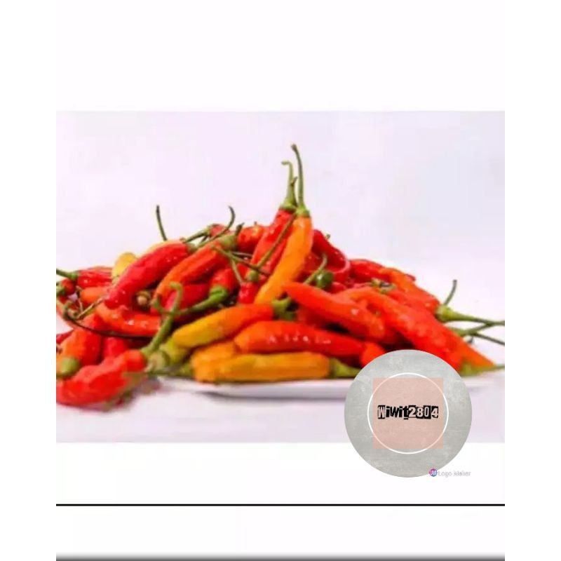 

CABAI BAHAN RUJAK 50GR