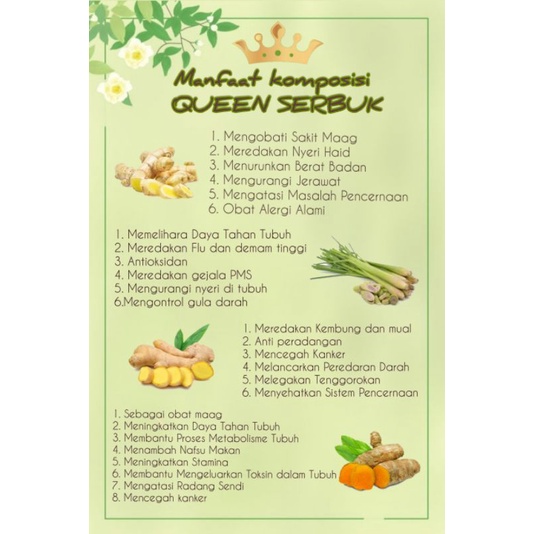 Queen Herbal Jsr Dr Zaidul Akbar Untuk Maag Kronis Dan Asam Lambung Shopee Indonesia