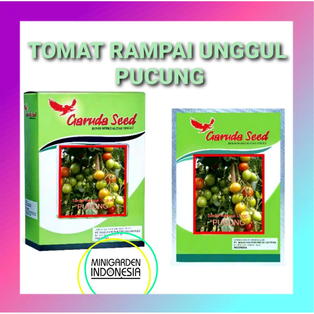 TOMAT RAMPAI PUCUNG PACK 5 GRAM BENIH BIBIT tomat garuda seed tanaman sayur rempai unggul hidroponik