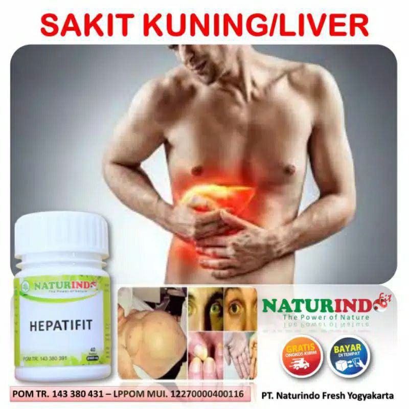 Obat Herbal Spesial Liver - HEPATIFIT Naturindo