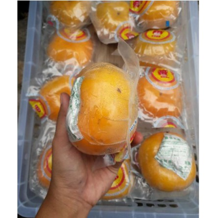 

TERMURAH Persimon / Kesemek Import *READY kirim hari ini* 40 Murah Bangett