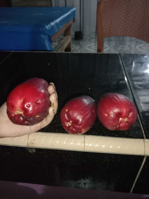 Laundry Bag Polos Keranjang Baju Non Motif