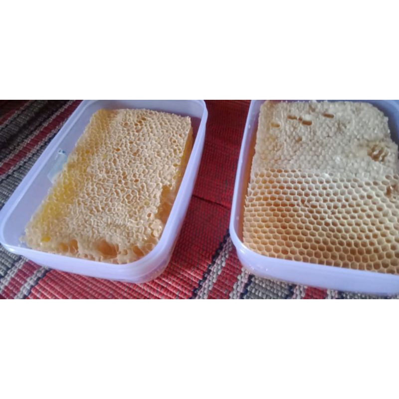 

Grosir Tedi madu murni (LEBAH MADU AN-NAHAL)