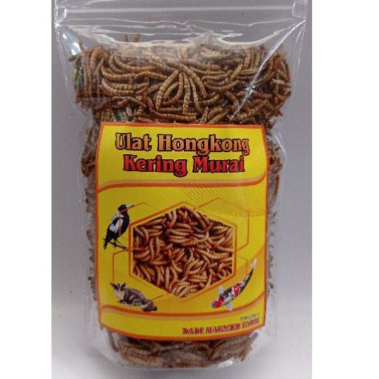 500 gr Ulat hongkong kering