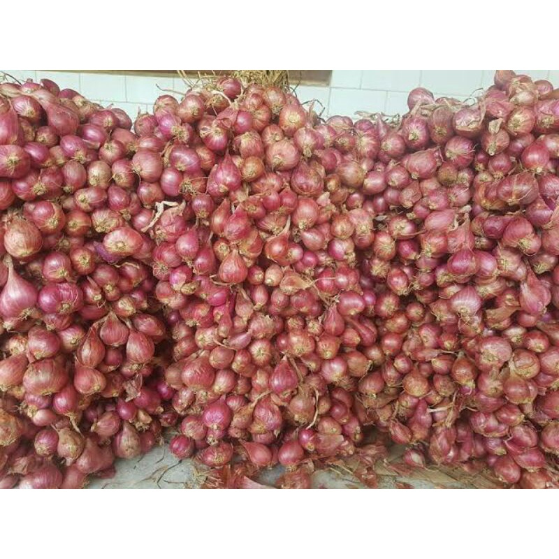 

bawang merah tanggung 10kg/bawang merah probolinggo