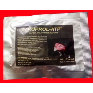 KOPROL-ATP (DIPING AYAM ADUAN)