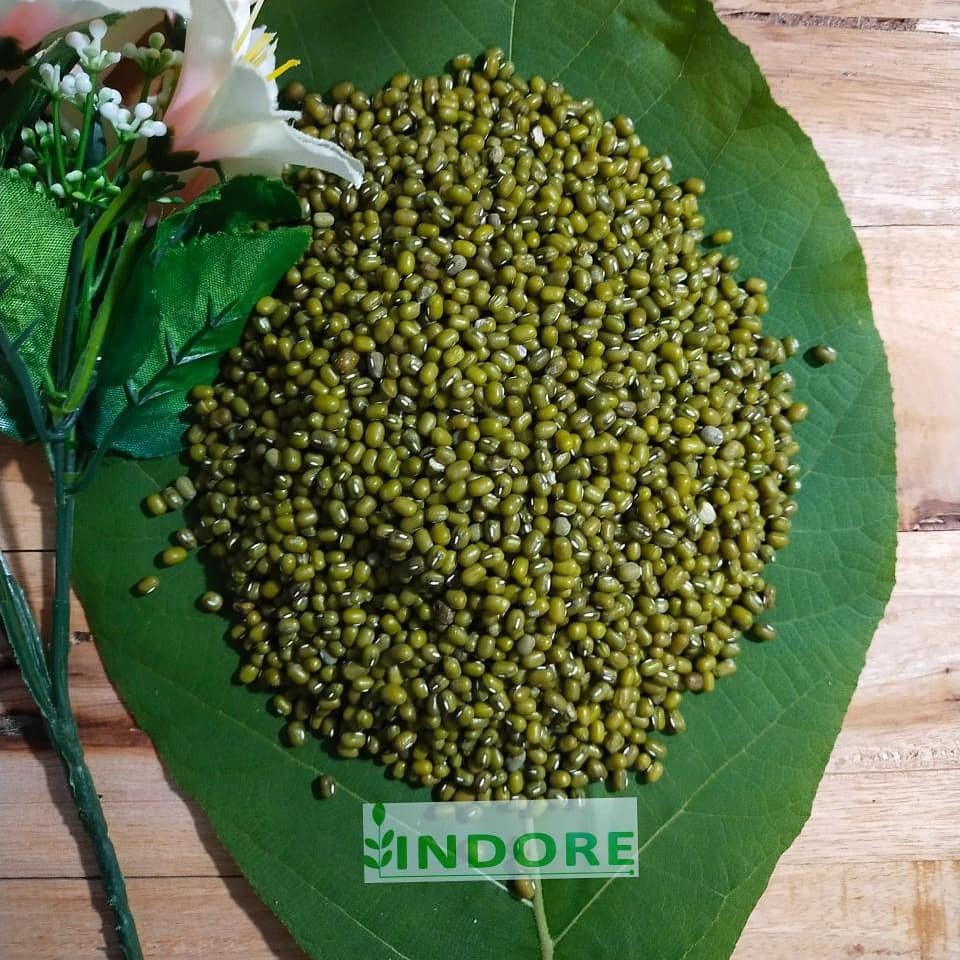 

KACANG HIJAU SUPER BERSIH 1 KG