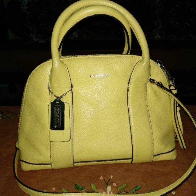 Preloved coach mini dome