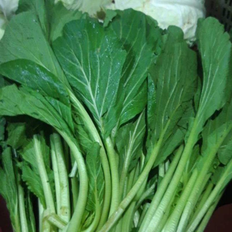 

sawi ijo 500gram