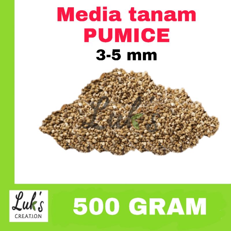 Media tanam PUMICE 500 gram batu apung porous untuk kaktus