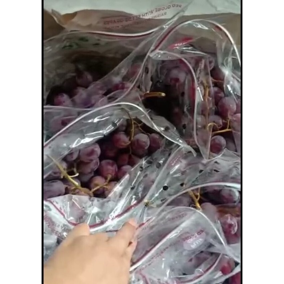 

anggur red chillian perdos isi 9 kg