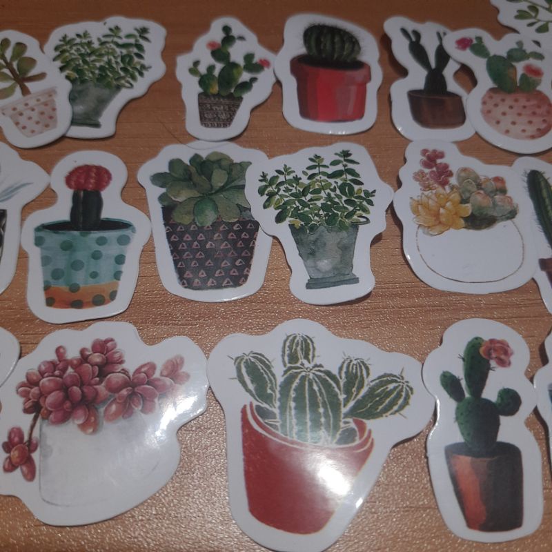 

STIKER AESTHETIC ┃ STIKER LUCU TANAMAN┃AESTHETIC PLANTS STIKERS┃STIKER DECO UNTUK JURNAL DAN SCRAPBOOK┃ STIKER HP & TUMBLR ( Random, 10 pcs )