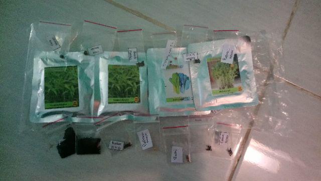 Benih Bibit Biji Alfalfa Microgreens Kemasan Alumunium Foil
