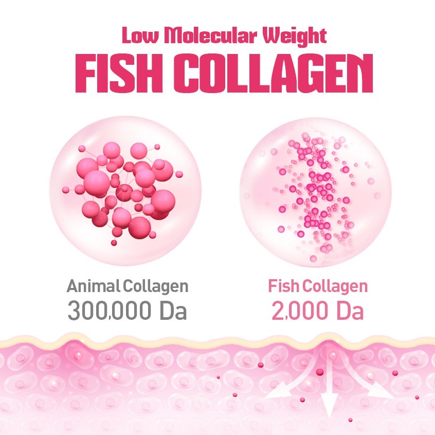 [Ready stock]  BOTO Collagen C (Collagen powder) 30stick