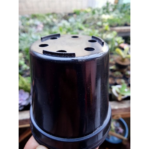 pot bunga 8cm (hitam)