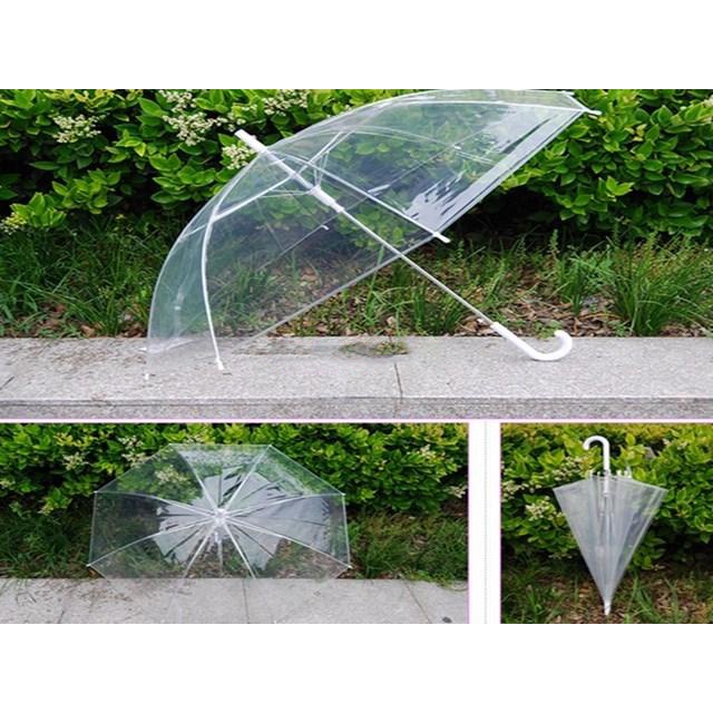 Payung Transparent PVC 8 Bone 85cm
