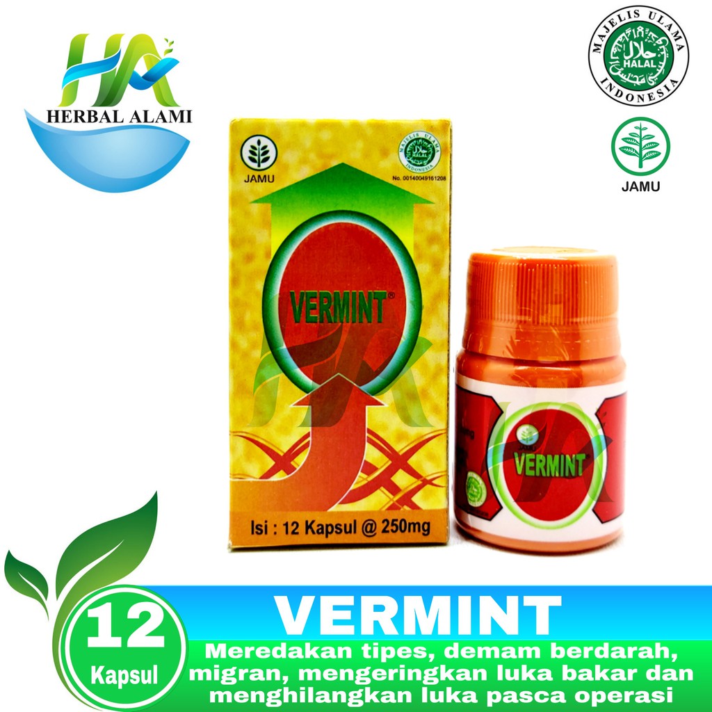 Vermint isi 12 Kapsul - Obat Tipes Typus