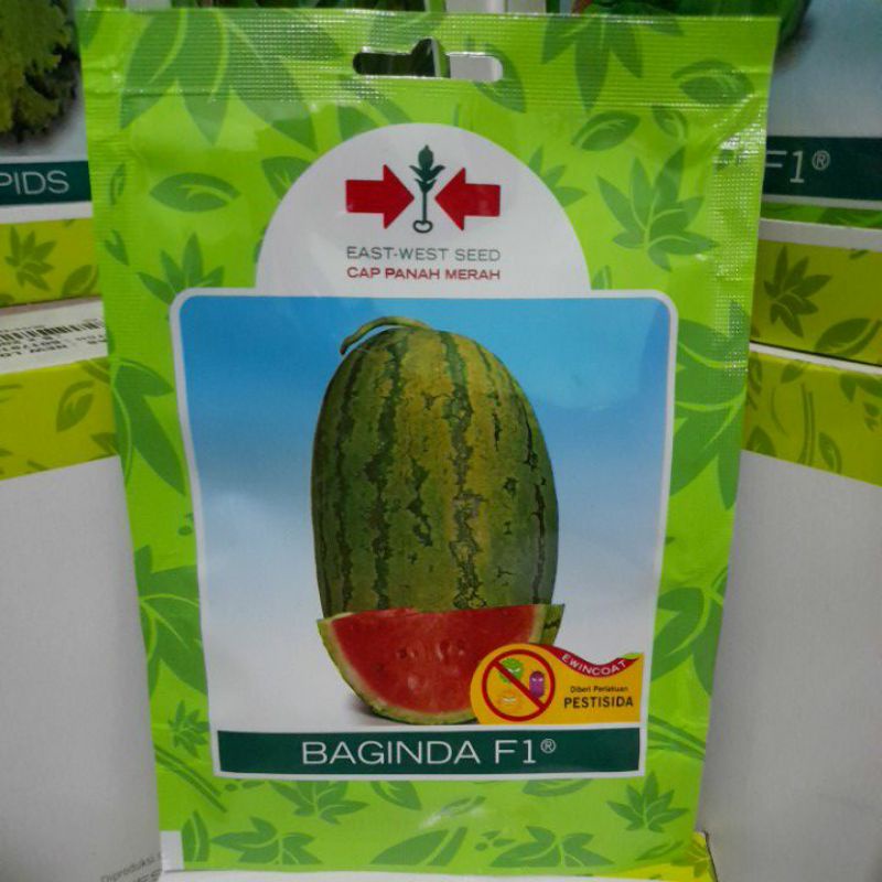 Benih Semangka Baginda f1 isi 80 butir