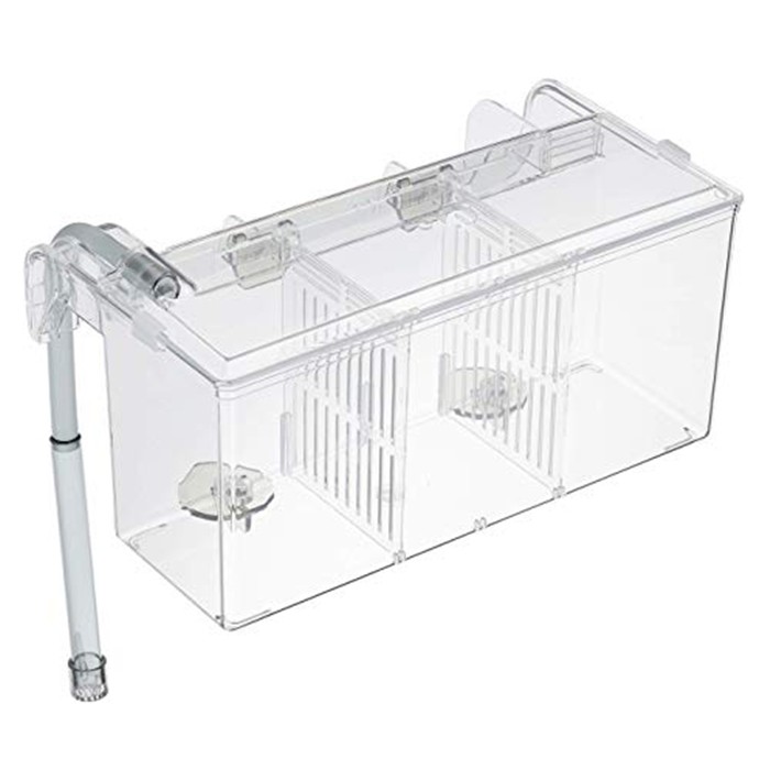 ISTA External Breeding Box size L Hang-on Hangon Separation Aquascape