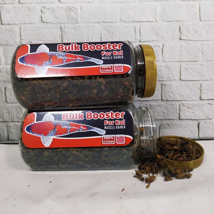 Pakan Ikan Koi Bulk Booster For Koi 100 gr Jangkrik Kering