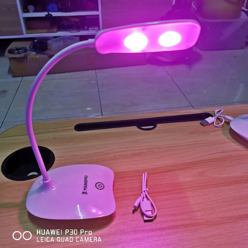 Lampu meja untuk tanaman mini