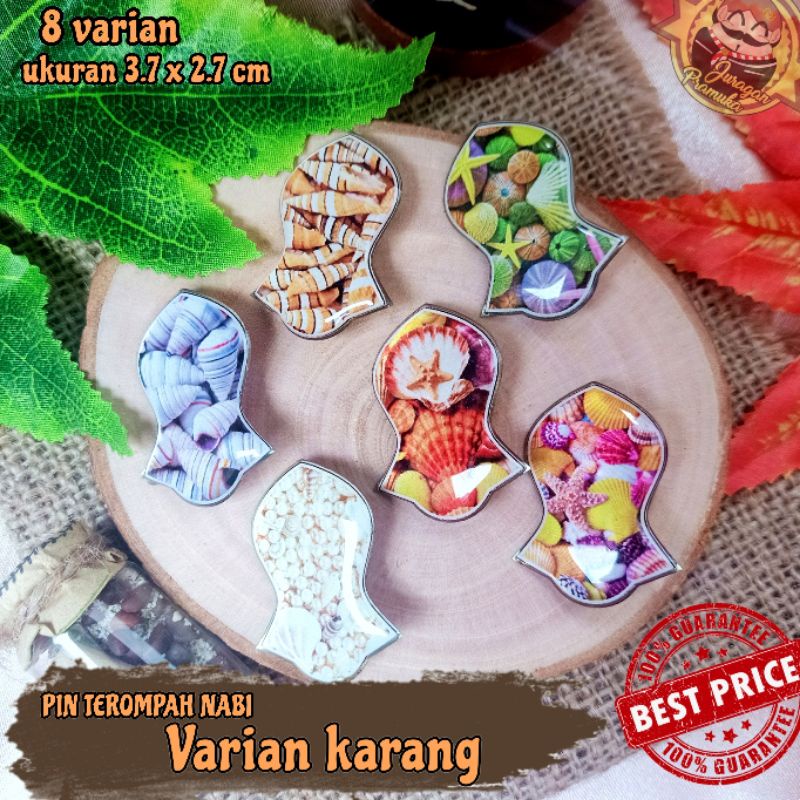 PIN TEROMPAH VARIAN KERANG CANTIK
