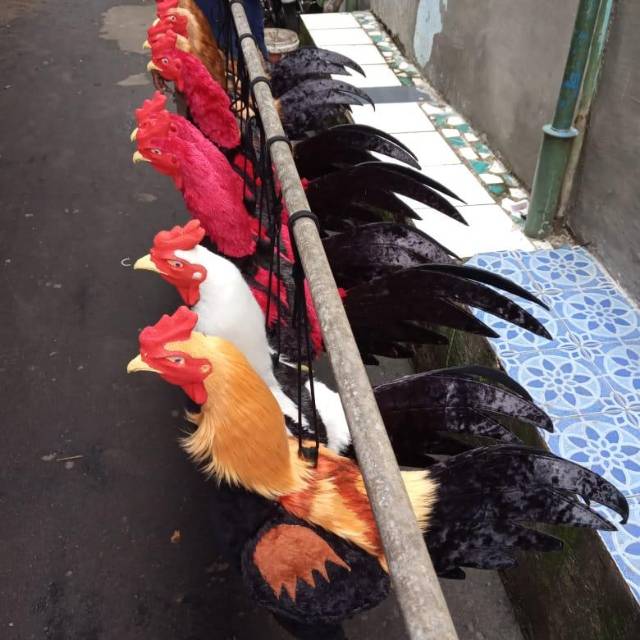 Boneka ayam full badan (bayar ditempat)