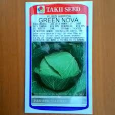 Bibit Kubis Takii Green Nova - 20 ml