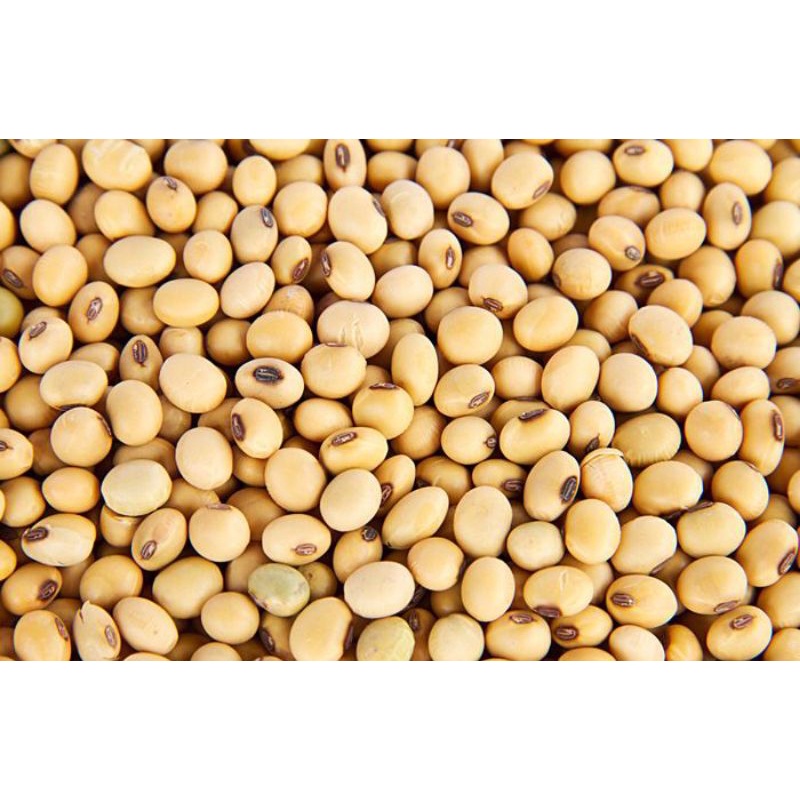 

Kacang Kedelai Import 1 kg