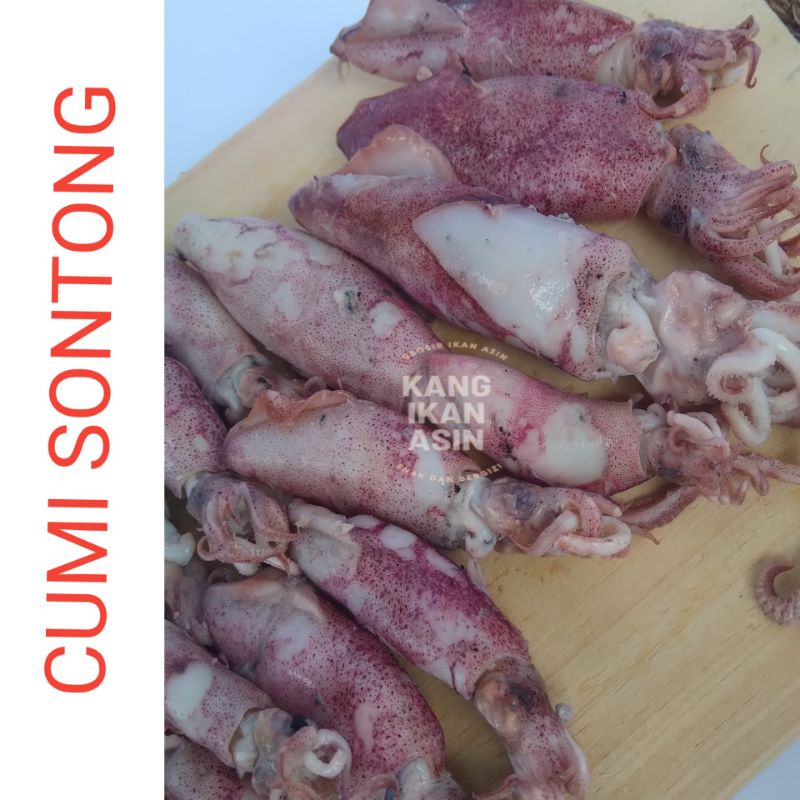 

Ikan Asin Cumi/Cumi Asin/Cumi Sontong