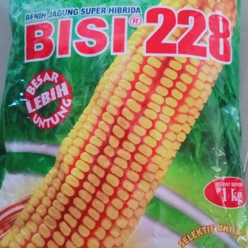 Benih Jagung Hibrida BISI 228 1KG