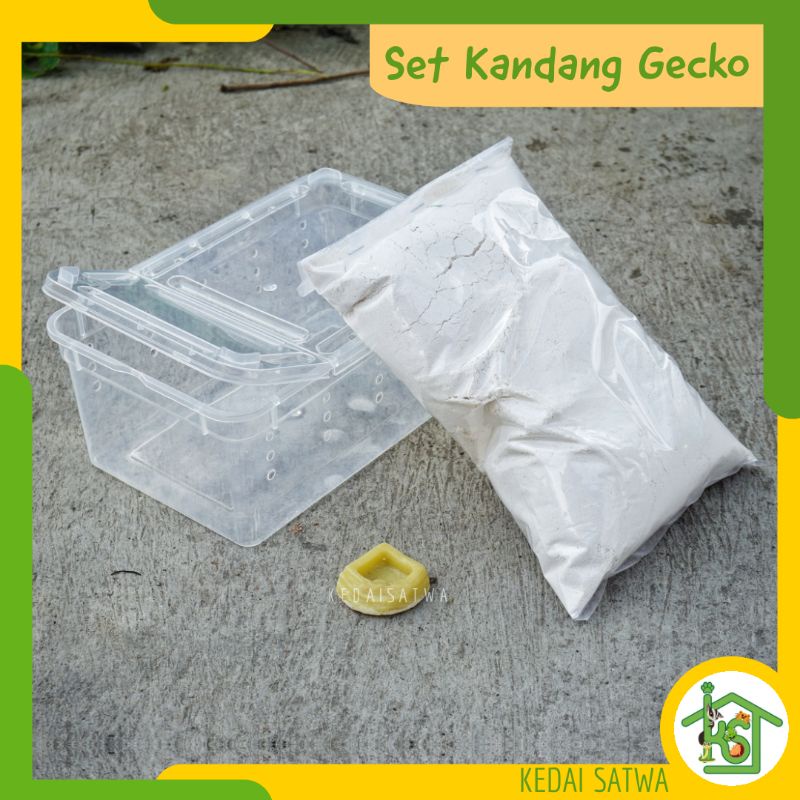 Paket Hemat Kandang Leopard Gecko | Set up Enclo Gecko Murah | Feeding Box Gecko