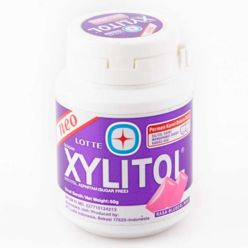 

LOTTE XYLITOL Permen Karet Bluberi Mint 58 g