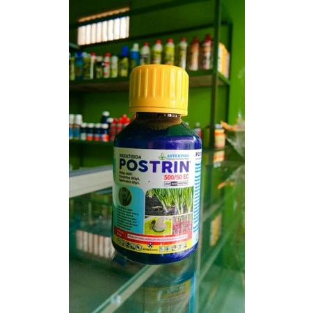 POSTRIN 80 ml