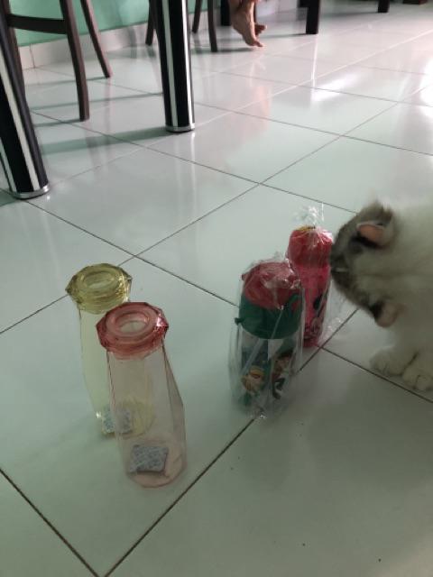 Xoxo - Botol Anak 550ml