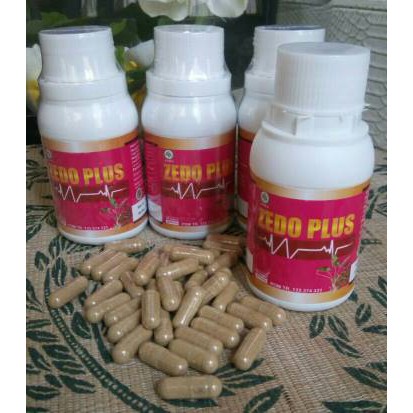 ZEDO PLUS - HERBAL UNTUK KISTA,TUMOR DAN KANKER