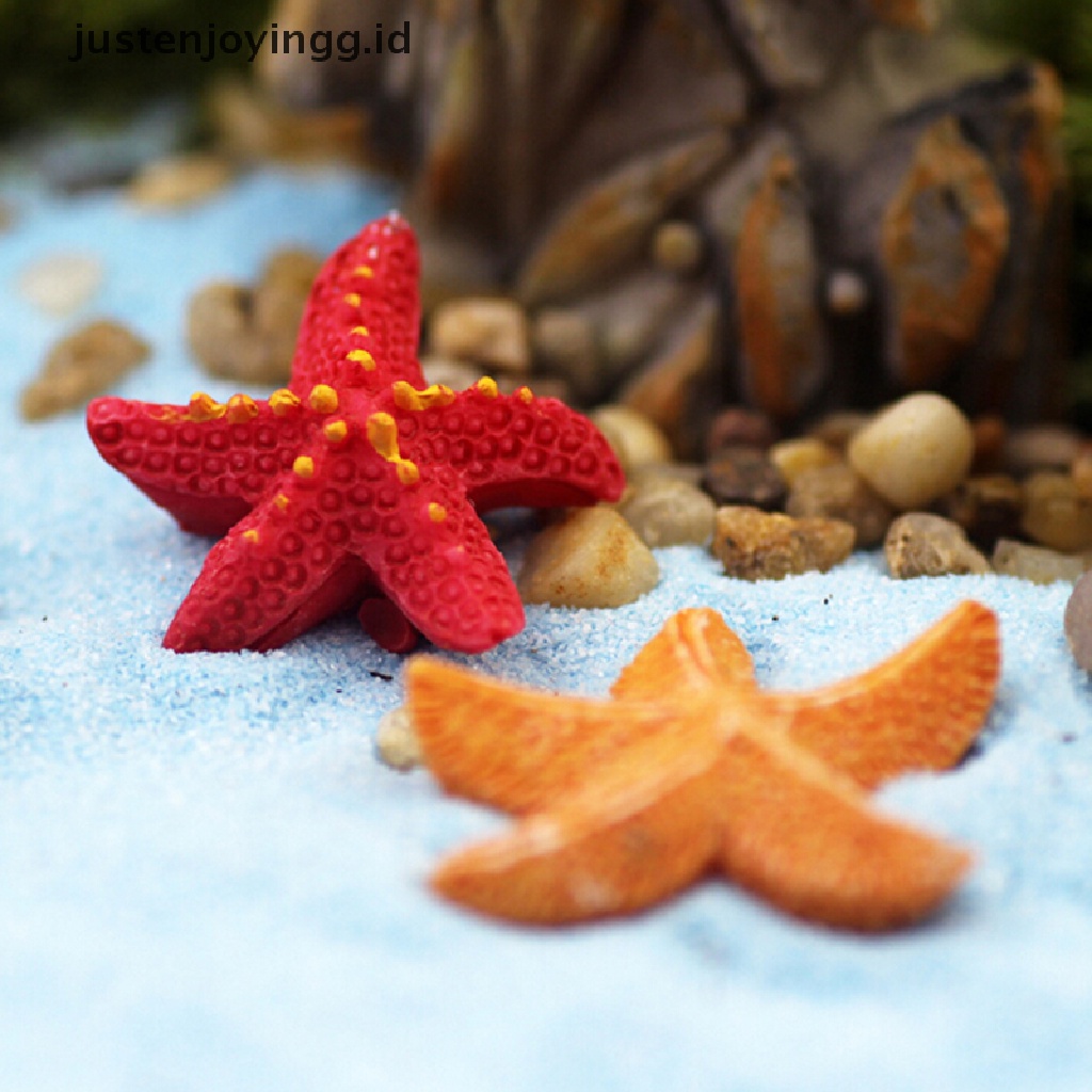 // justenjoyingg.id // 2pcs Starfish Miniatures Fairy Garden Decorations Micro Landscapes DIY Resin Crafts Bonsai Figurine Garden Terrarium Accessories ~