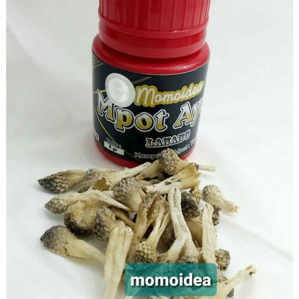 (BISA COD) MPOT LANANG MOMOIDEA EMPOT AYAM MOMO ORI