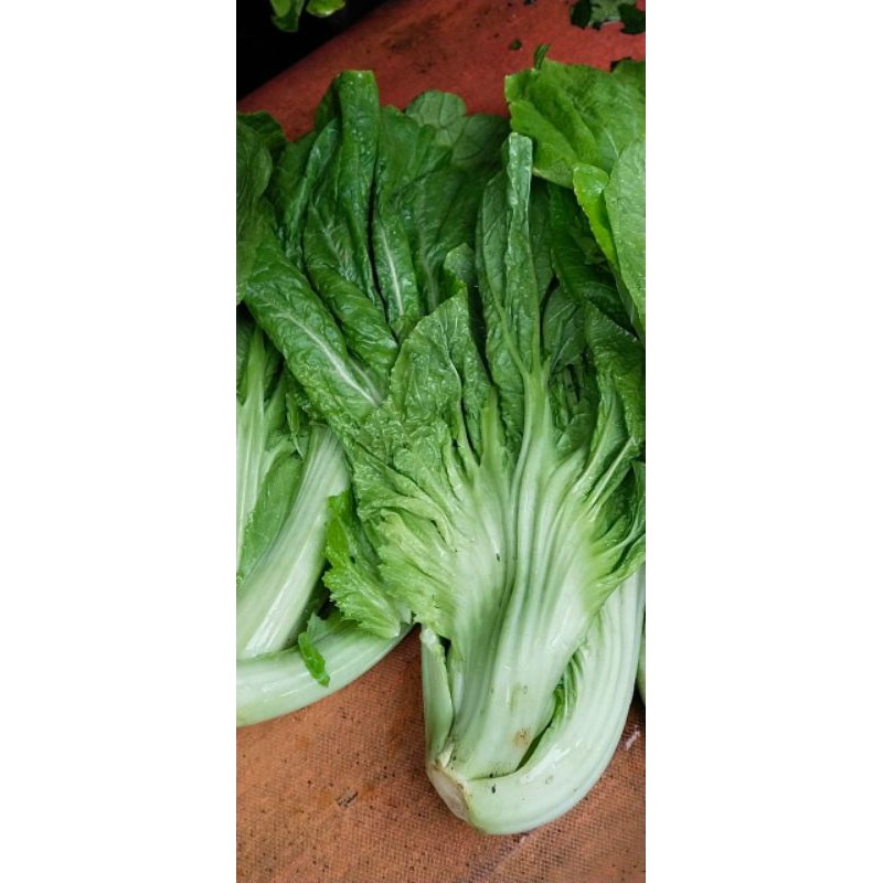 

SAYUR SAWI PAHIT SEGAR 1000 GRAM