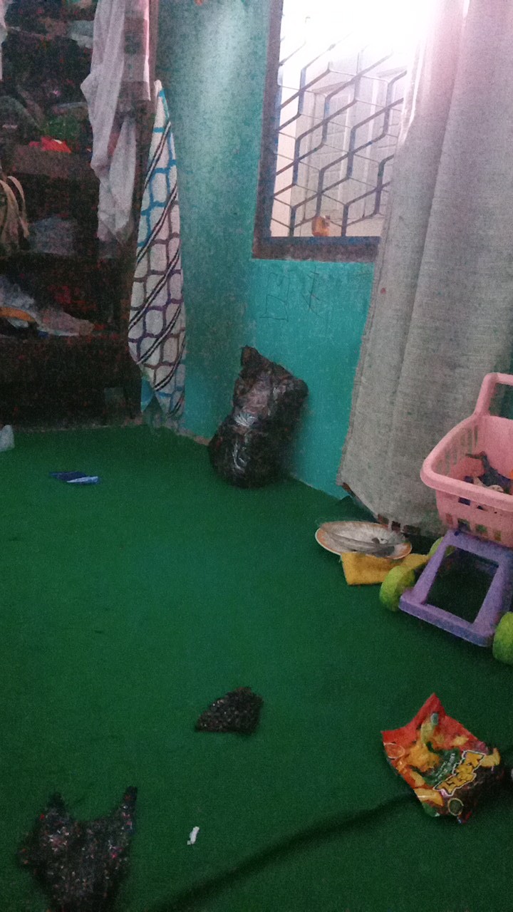 Lunch Box / Tempat Makan / Kotak Makan Sekat Clio Yokohama Per Buah