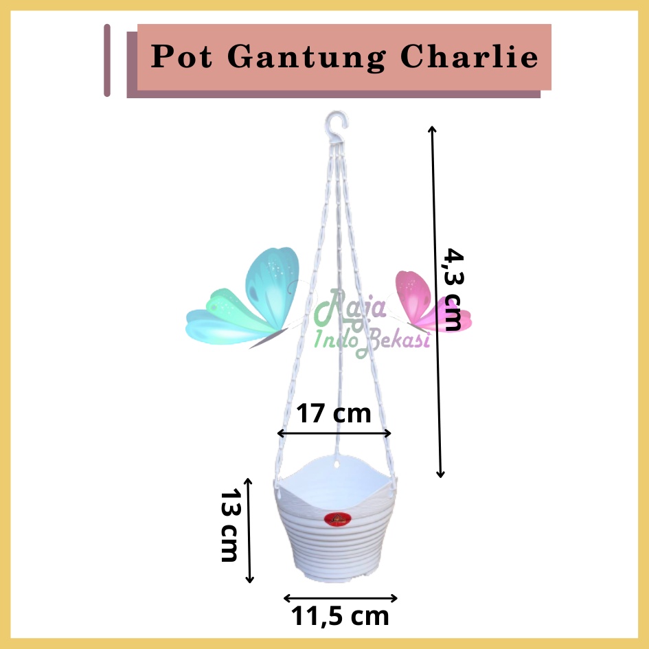 Pot Bunga Gantung Alexish 116 Baby Charlie 20 Putih Mirip Pot Gantung Gentong Lovenia Pot Gantung Putih Anggrek Murah Unik Tinggi Lion star