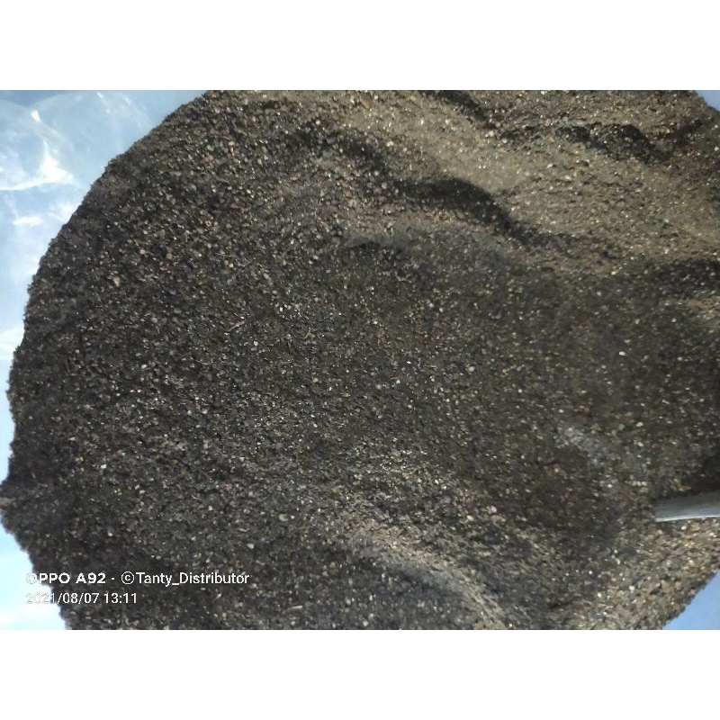 Bedda lotong lulur kering 1 kg Ori